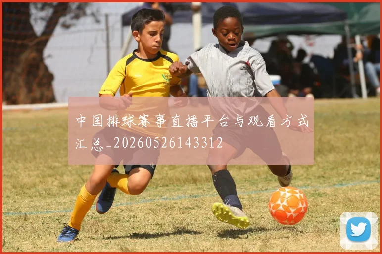 中国排球赛事直播平台与观看方式汇总_20260526143312